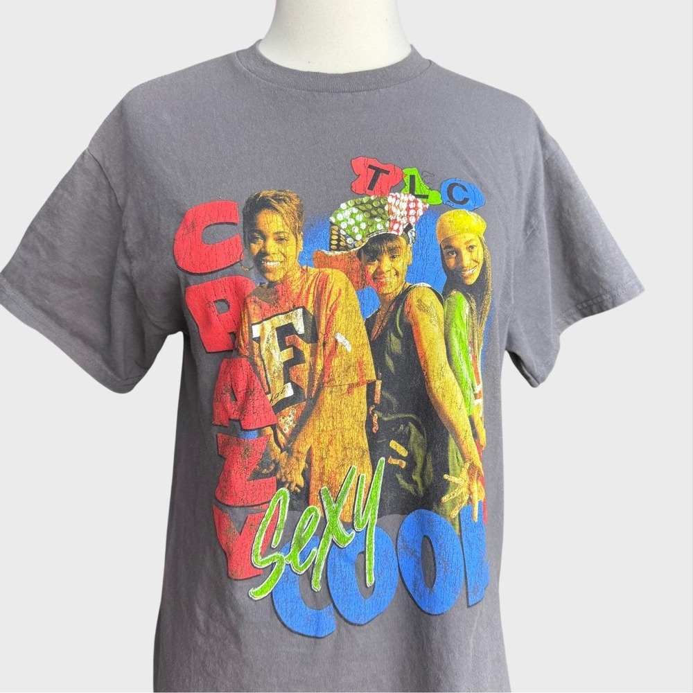 TLC Crazy Sexy Cool Band Shirt Medium Grey 90s Rap Hip Hop Music Tee Vintage